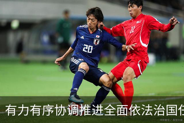 有力有序协调推进全面依法治国任务落实（权威发布·开局起步“十五五”）